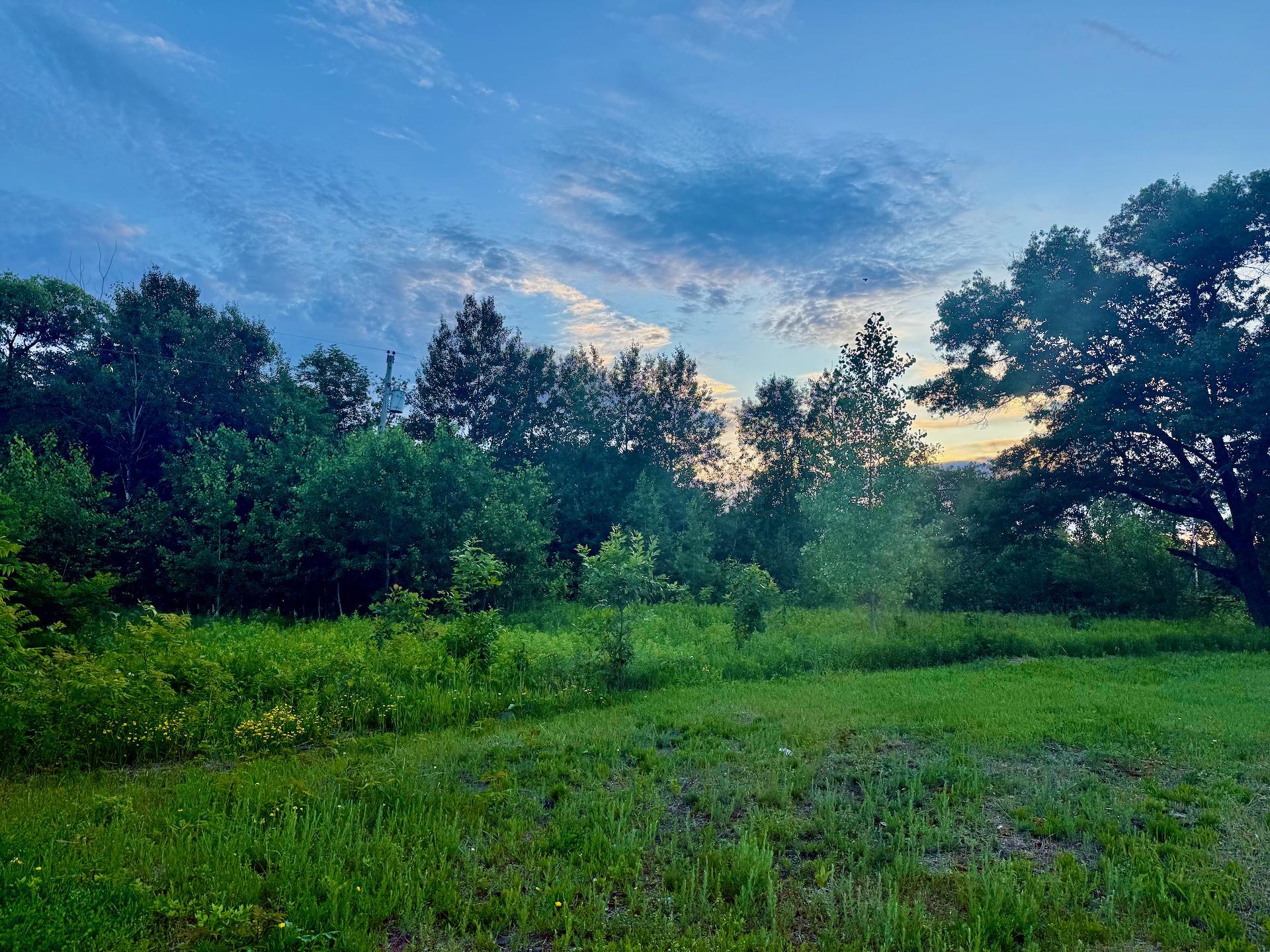 View of Land at 44465 US Hwy 169, Onamia MN 56359, Onamia (10 of 24) - Mike Wilen | Minnesota Team Real Estate