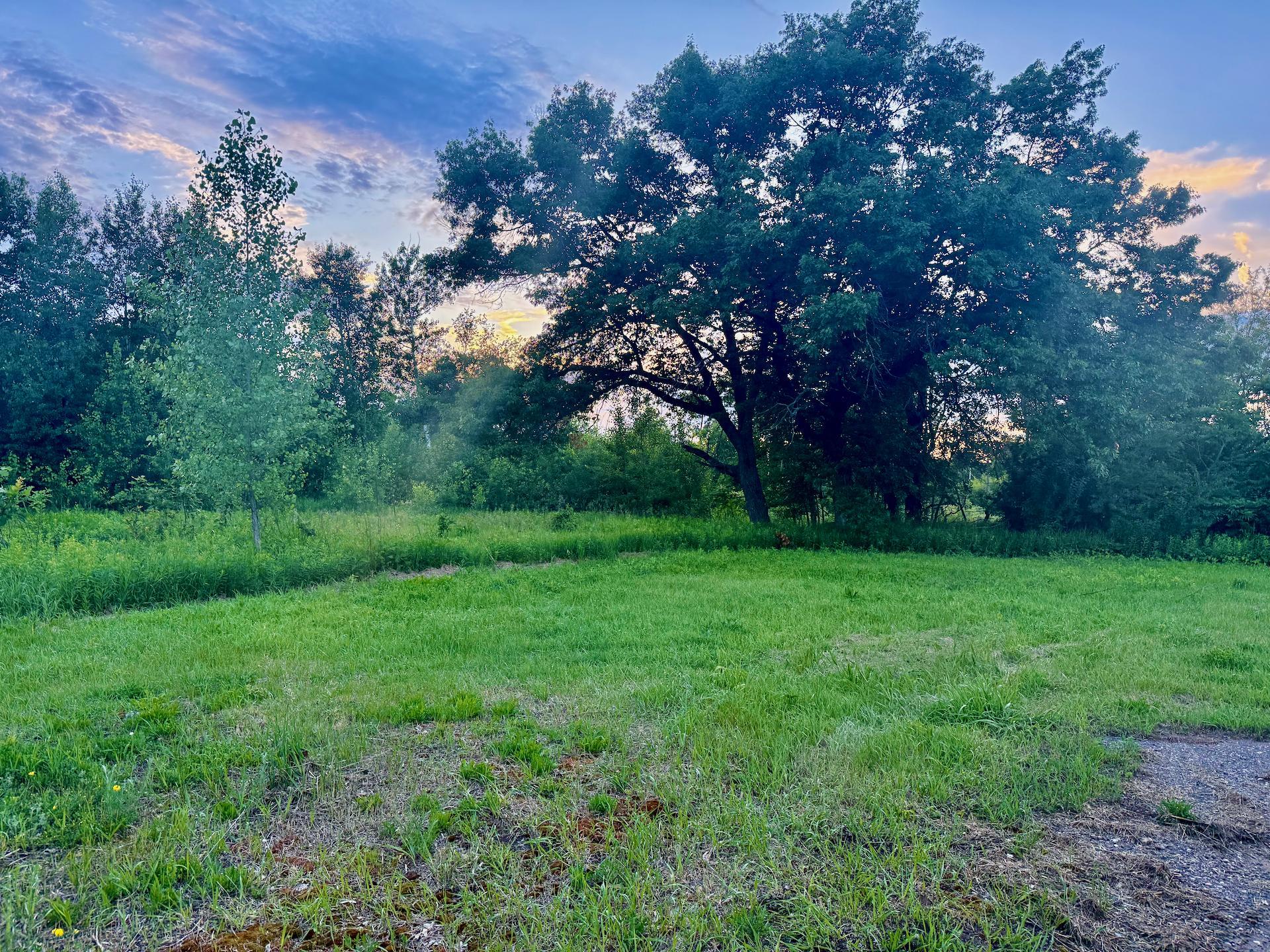 View of Land at 44465 US Hwy 169, Onamia MN 56359, Onamia (6 of 24) - Mike Wilen | Minnesota Team Real Estate