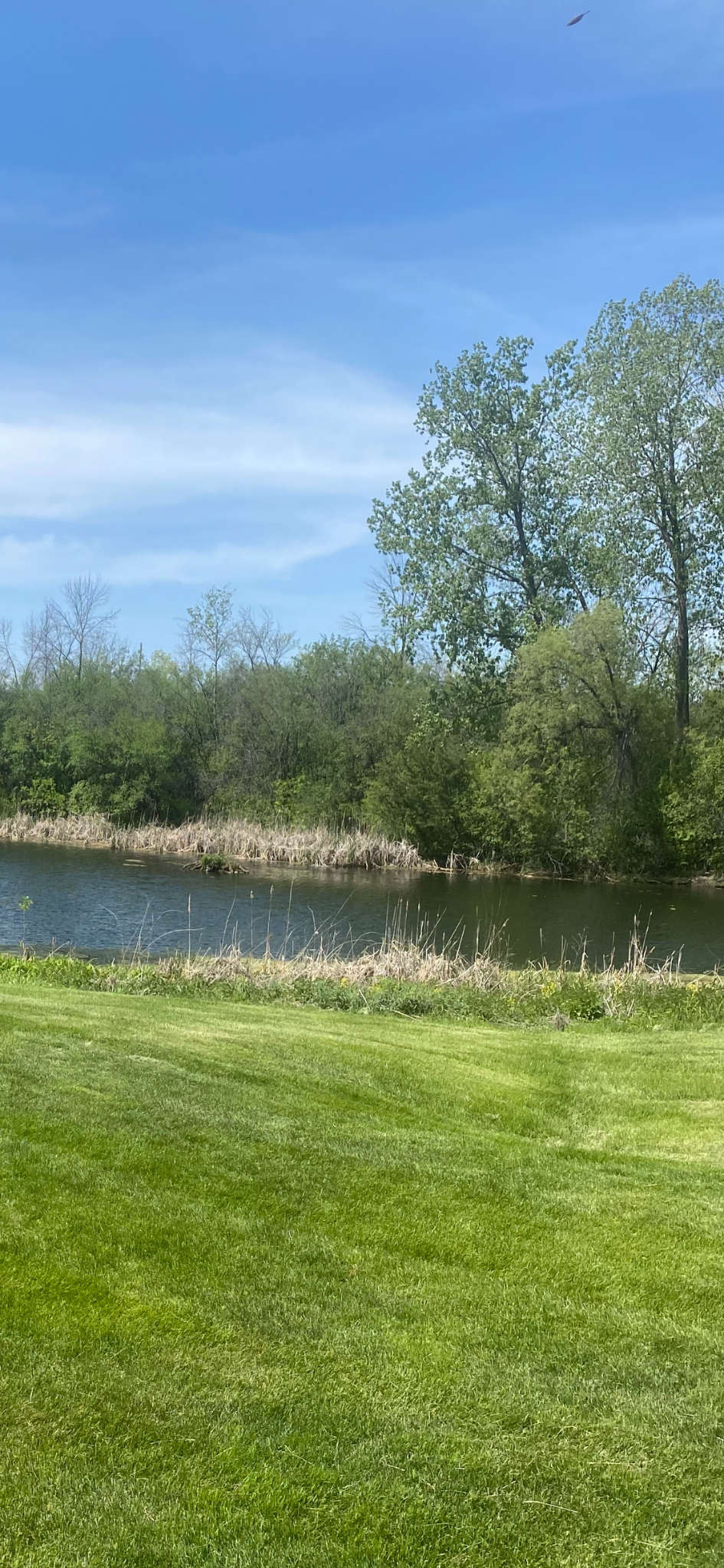 View of Residential at 5408 Egan Drive, Savage MN 55378, Savage (34 of 34) - Mike Wilen | Minnesota Team Real Estate