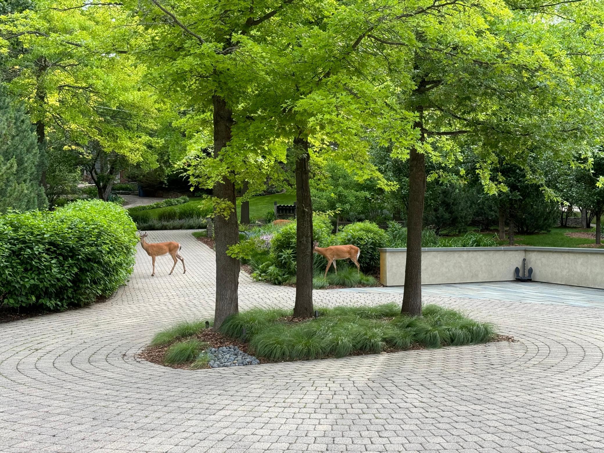 View of Residential at 20545 Linden Road, Deephaven MN 55331, Deephaven (72 of 75) - Mike Wilen | Minnesota Team Real Estate