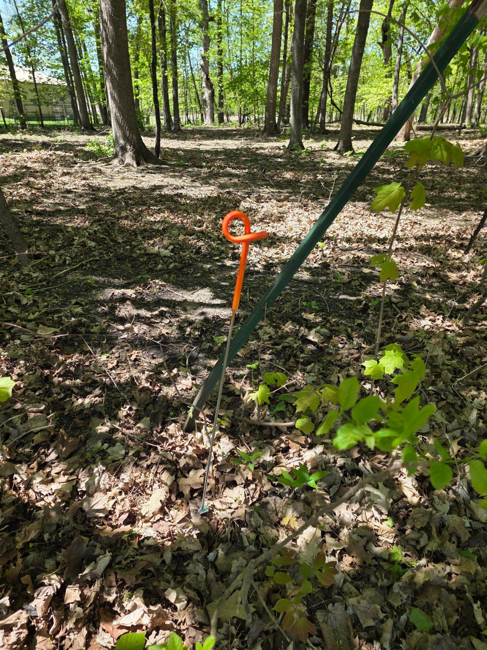 View of Land at 208XX Parkfield Avenue, Jordan MN 55352, Jordan (3 of 3) - Mike Wilen | Minnesota Team Real Estate