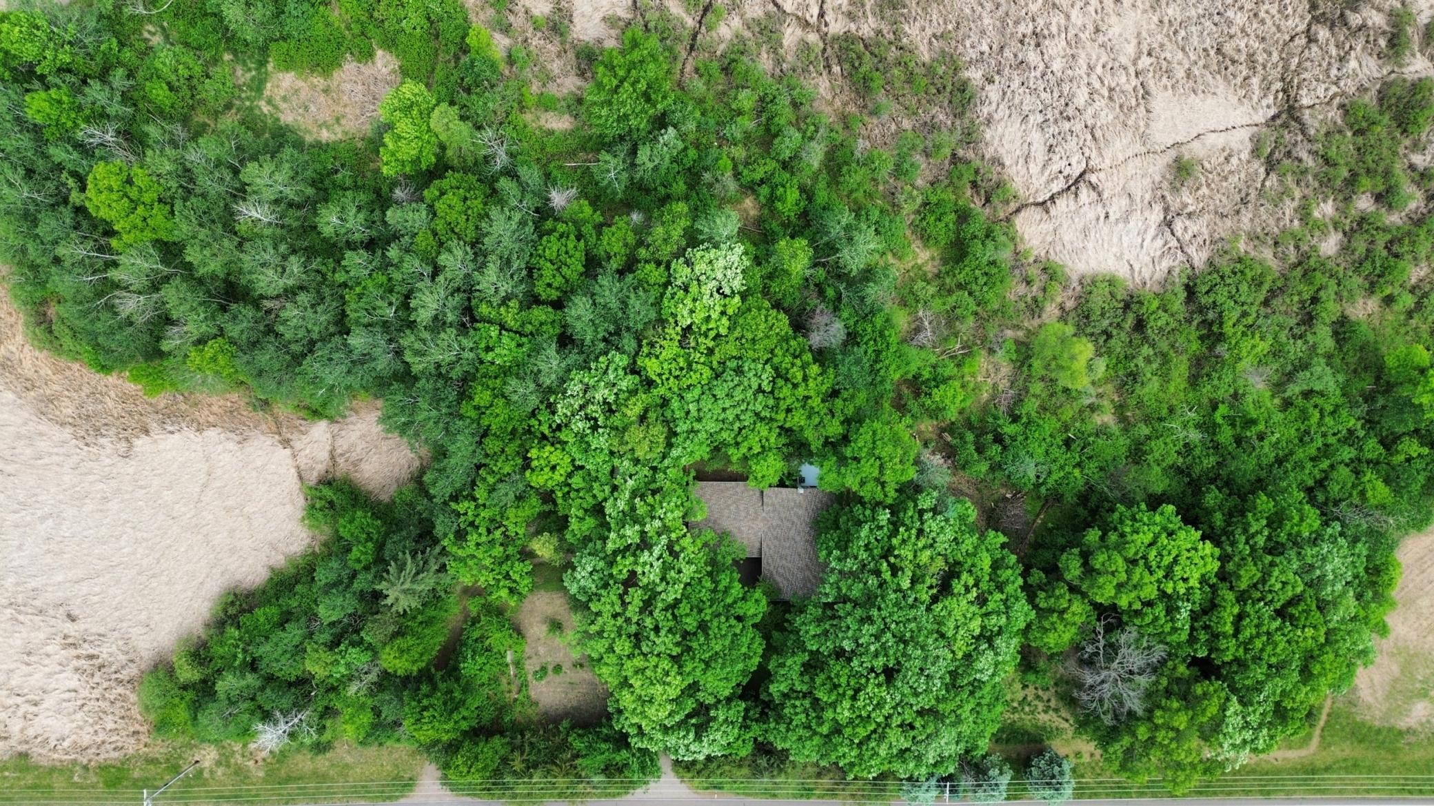 View of Residential at 17360 205th Avenue, Big Lake MN 55309, Big Lake (42 of 49) - Mike Wilen | Minnesota Team Real Estate