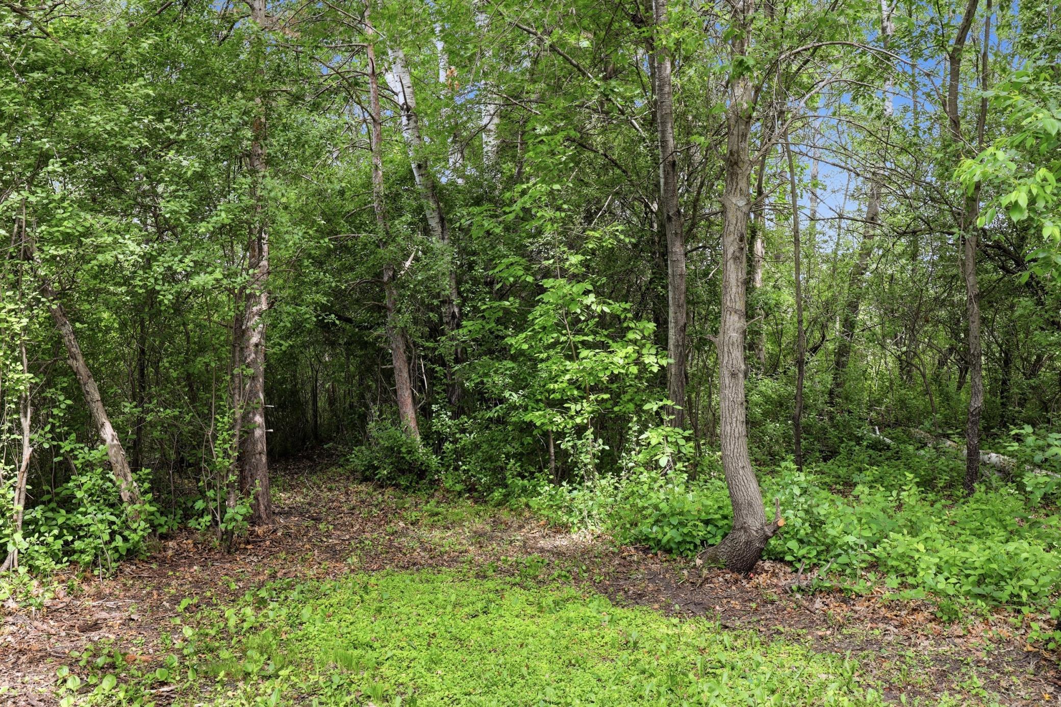 View of Residential at 17360 205th Avenue, Big Lake MN 55309, Big Lake (41 of 49) - Mike Wilen | Minnesota Team Real Estate