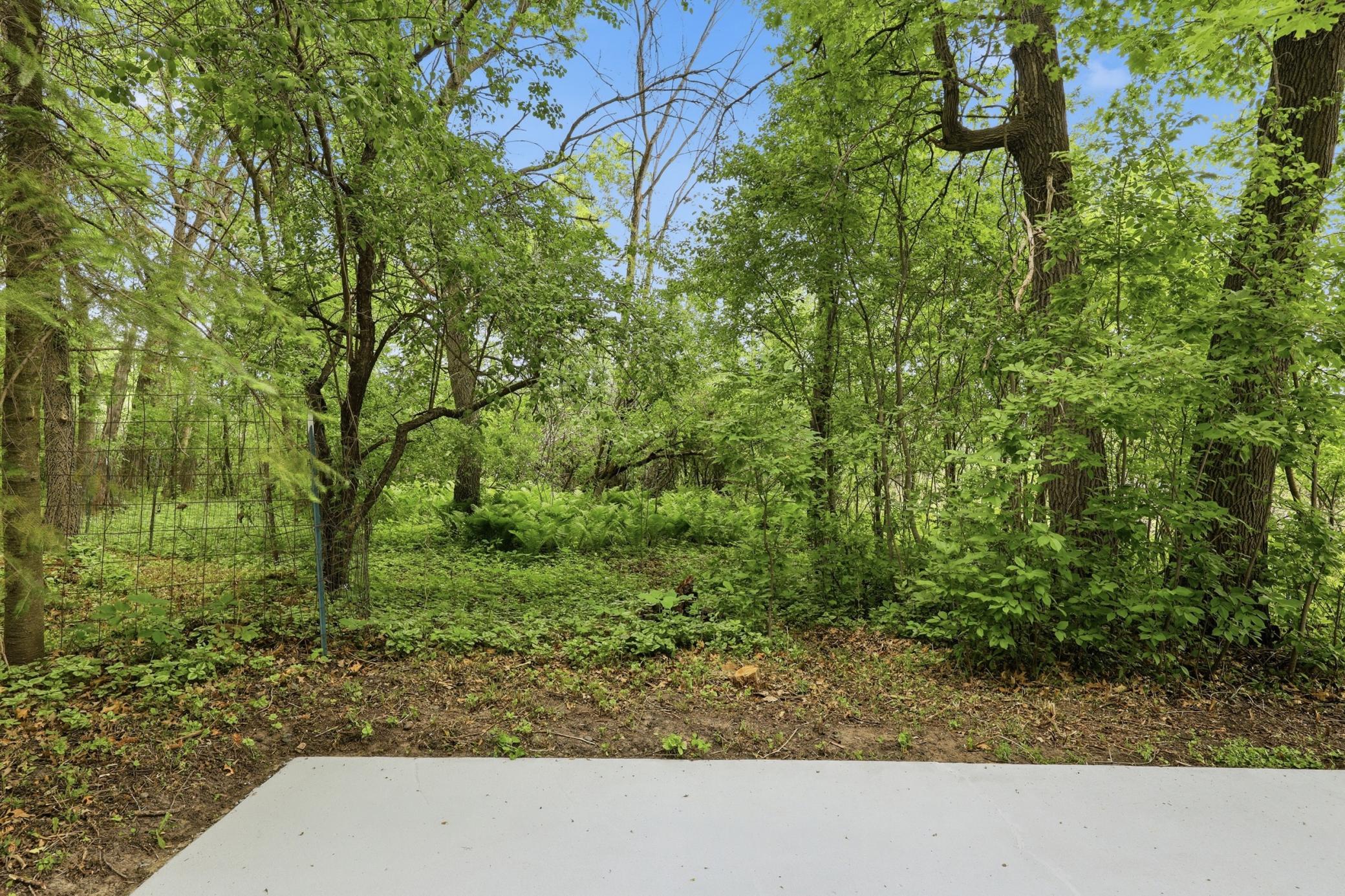 View of Residential at 17360 205th Avenue, Big Lake MN 55309, Big Lake (34 of 49) - Mike Wilen | Minnesota Team Real Estate