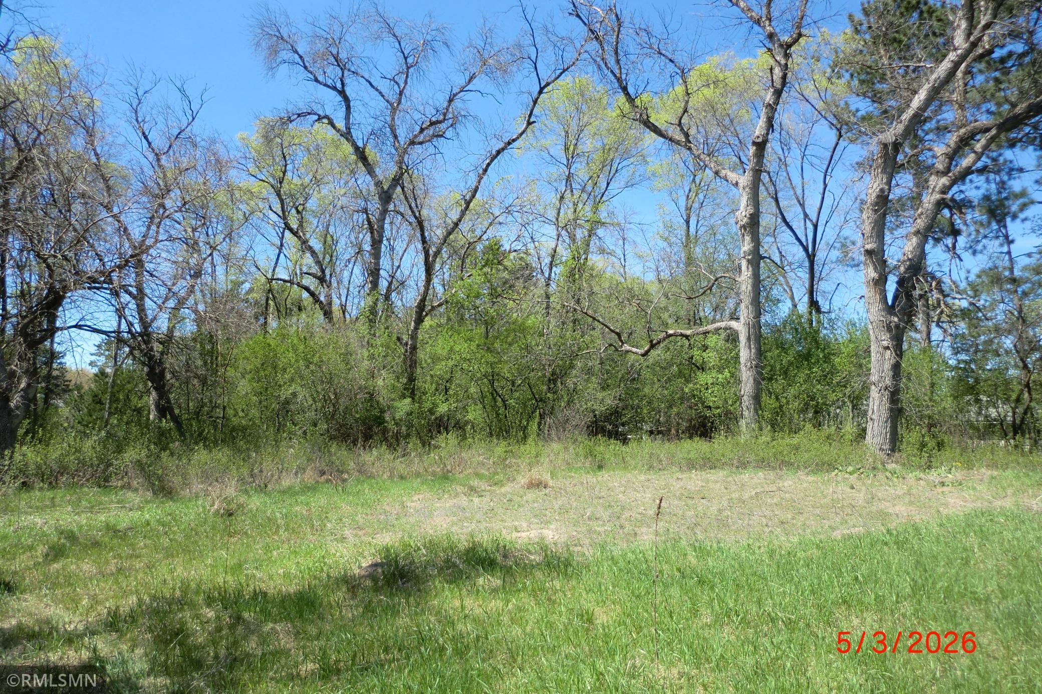 View of Land at 13625 Buchanan Street, Ham Lake MN 55304, Ham Lake (6 of 10) - Mike Wilen | Minnesota Team Real Estate