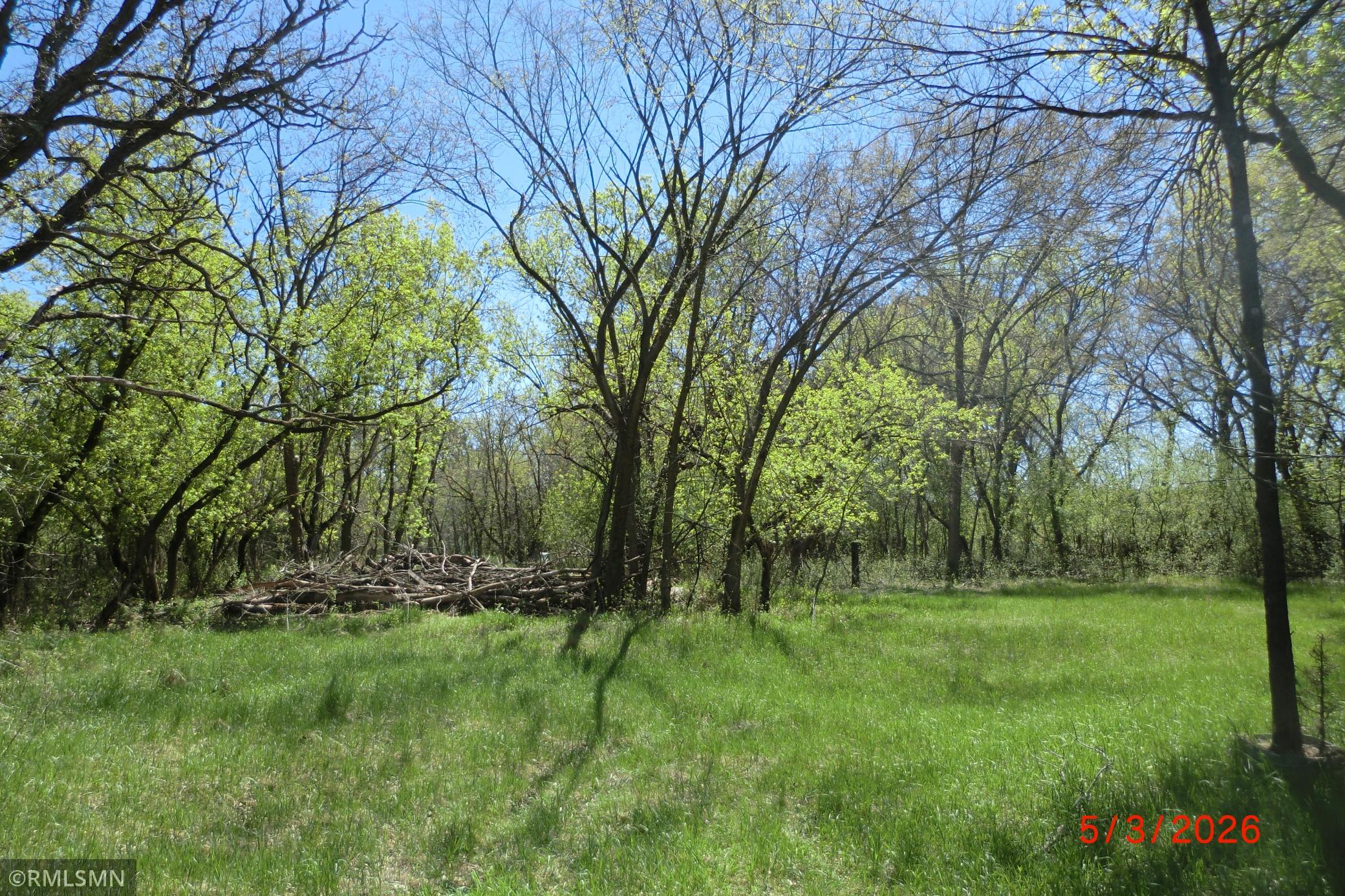 View of Land at 13625 Buchanan Street, Ham Lake MN 55304, Ham Lake (9 of 10) - Mike Wilen | Minnesota Team Real Estate