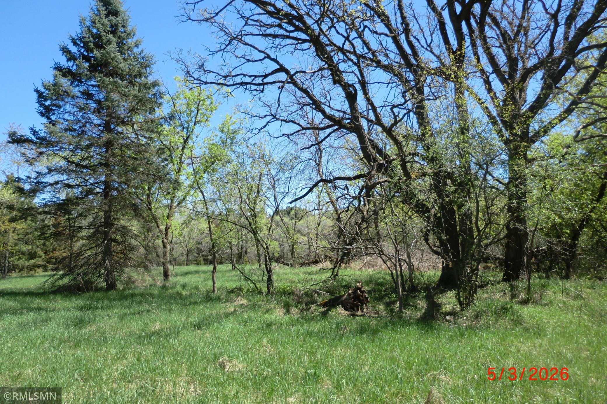 View of Land at 13625 Buchanan Street, Ham Lake MN 55304, Ham Lake (8 of 10) - Mike Wilen | Minnesota Team Real Estate