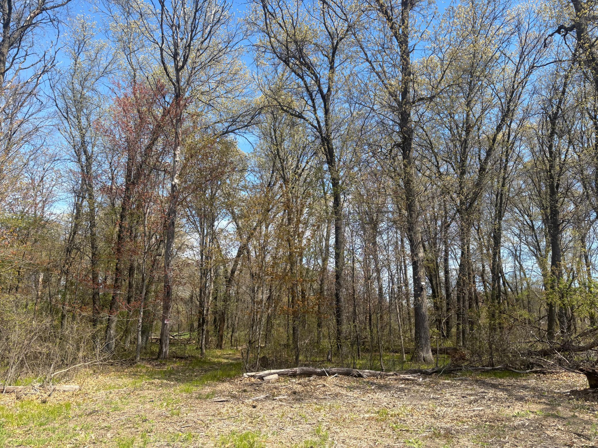View of Land at TBD 151st Street, Princeton MN 55371, Princeton (2 of 4) - Mike Wilen | Minnesota Team Real Estate