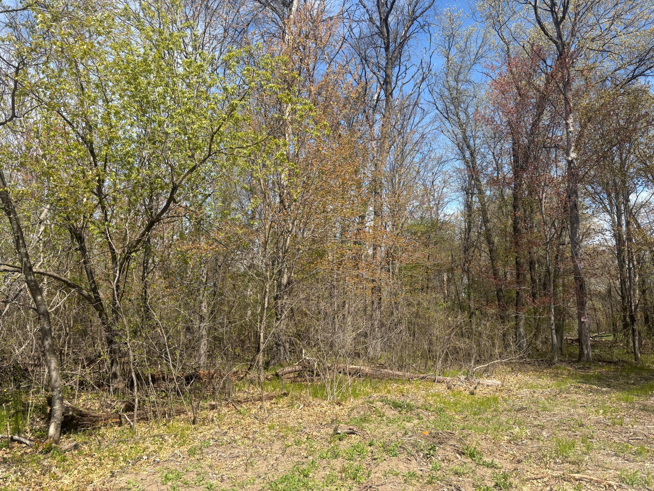 View of Land at TBD 151st Street, Princeton MN 55371, Princeton (3 of 4) - Mike Wilen | Minnesota Team Real Estate