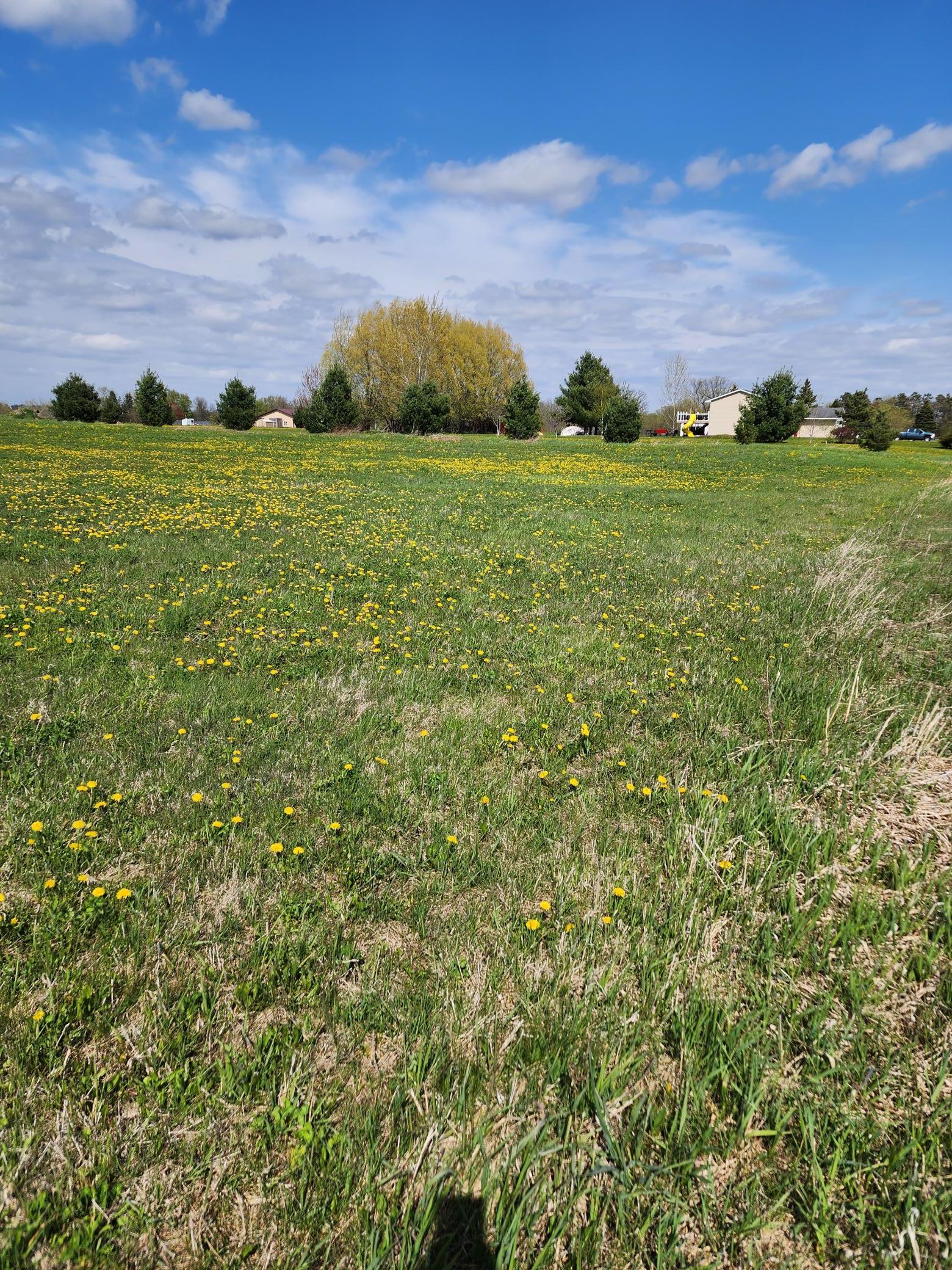 View of Land at 7160 149th Street, Milaca MN 56353, Milaca (4 of 24) - Mike Wilen | Minnesota Team Real Estate