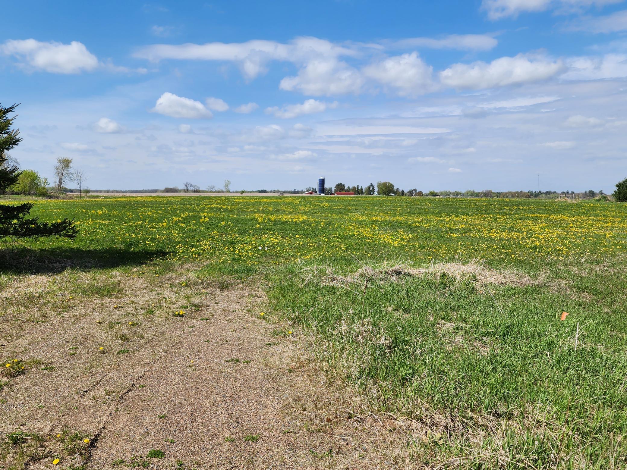 View of Land at 7160 149th Street, Milaca MN 56353, Milaca (21 of 24) - Mike Wilen | Minnesota Team Real Estate