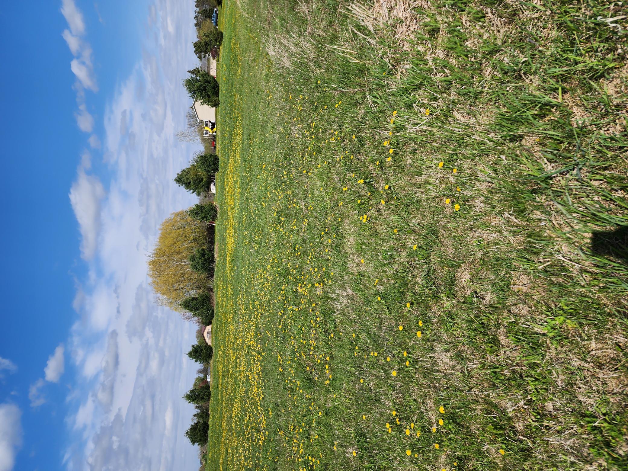 View of Land at 7160 149th Street, Milaca MN 56353, Milaca (19 of 24) - Mike Wilen | Minnesota Team Real Estate