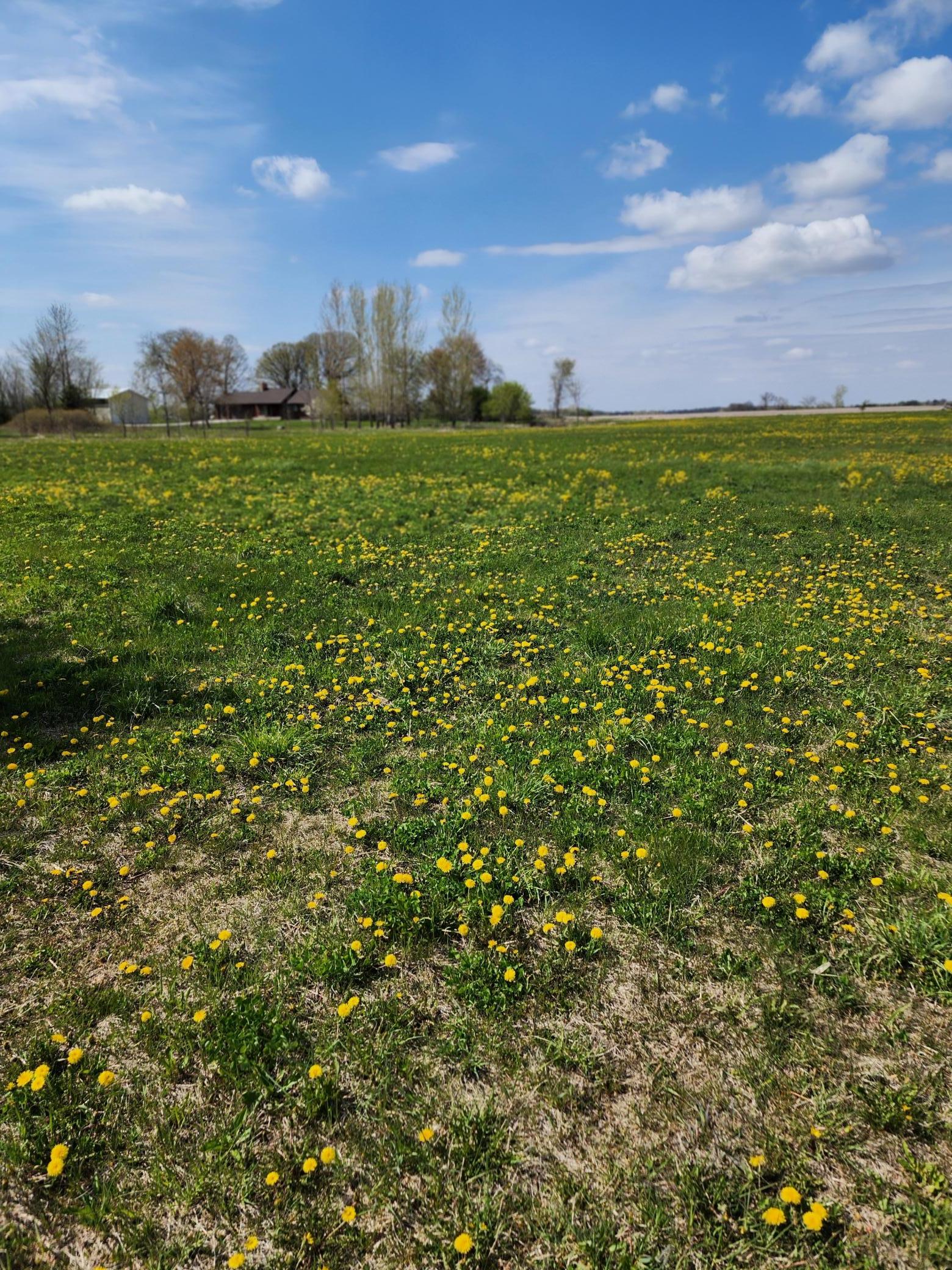 View of Land at 7160 149th Street, Milaca MN 56353, Milaca (10 of 24) - Mike Wilen | Minnesota Team Real Estate