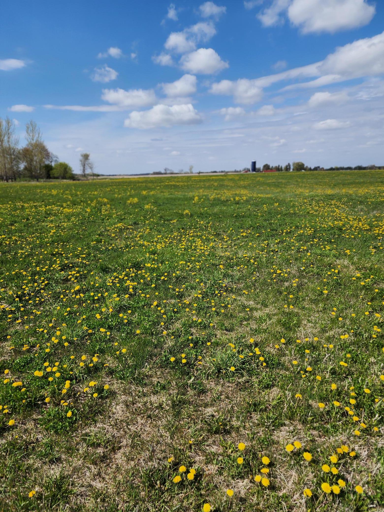 View of Land at 7160 149th Street, Milaca MN 56353, Milaca (11 of 24) - Mike Wilen | Minnesota Team Real Estate
