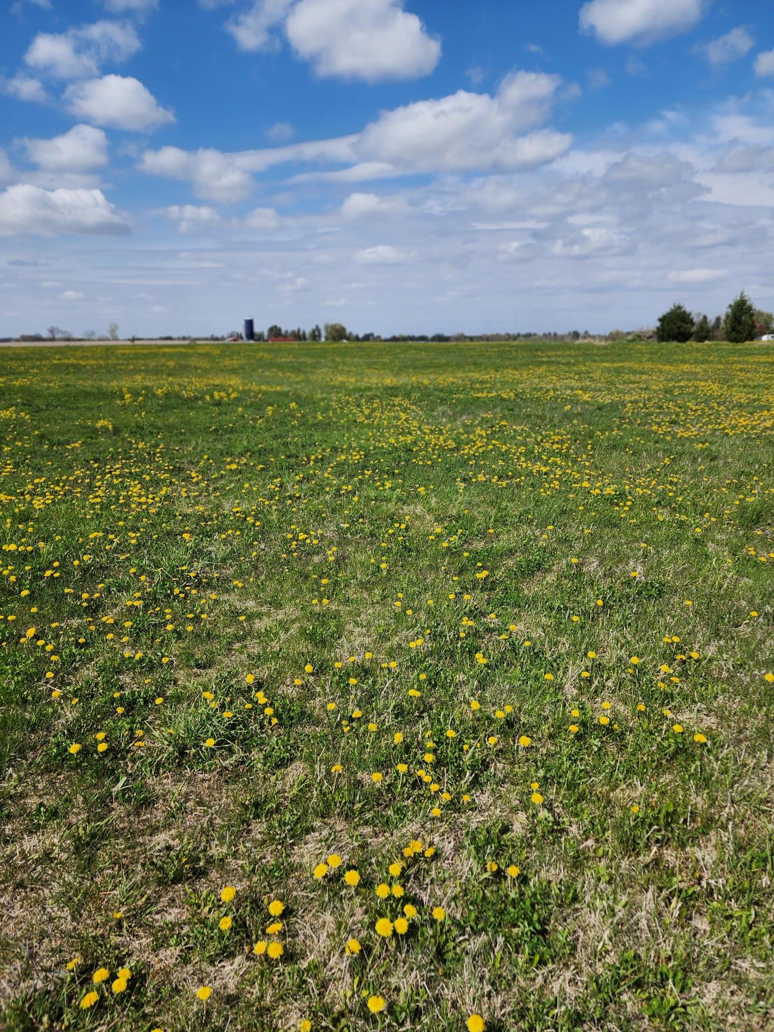 View of Land at 7160 149th Street, Milaca MN 56353, Milaca (9 of 24) - Mike Wilen | Minnesota Team Real Estate
