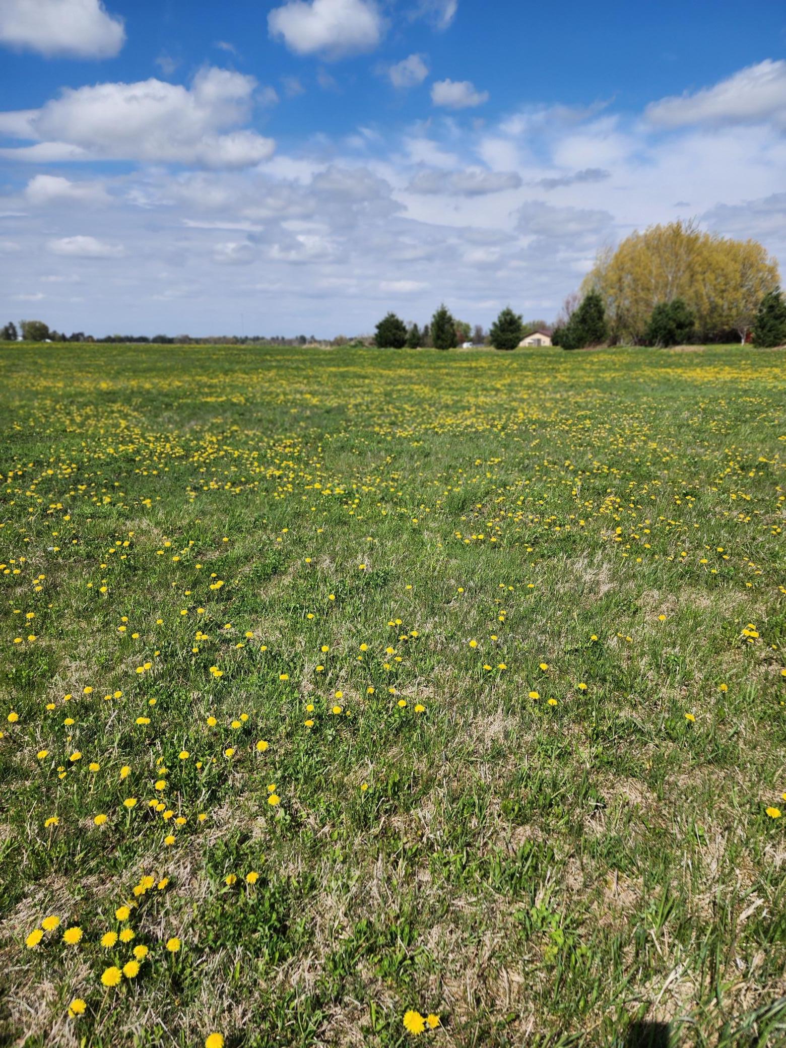View of Land at 7160 149th Street, Milaca MN 56353, Milaca (8 of 24) - Mike Wilen | Minnesota Team Real Estate