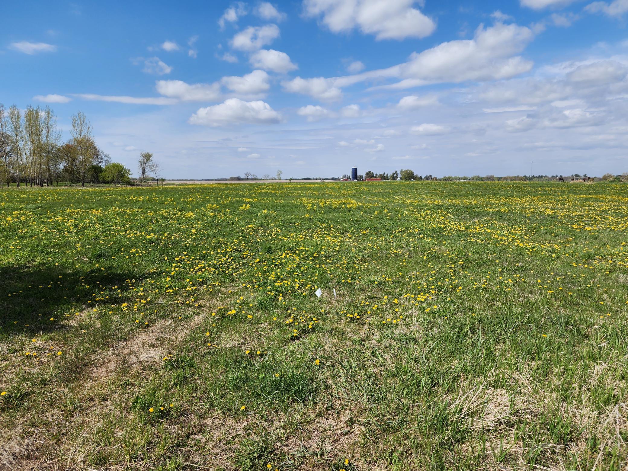 View of Land at 7160 149th Street, Milaca MN 56353, Milaca (7 of 24) - Mike Wilen | Minnesota Team Real Estate
