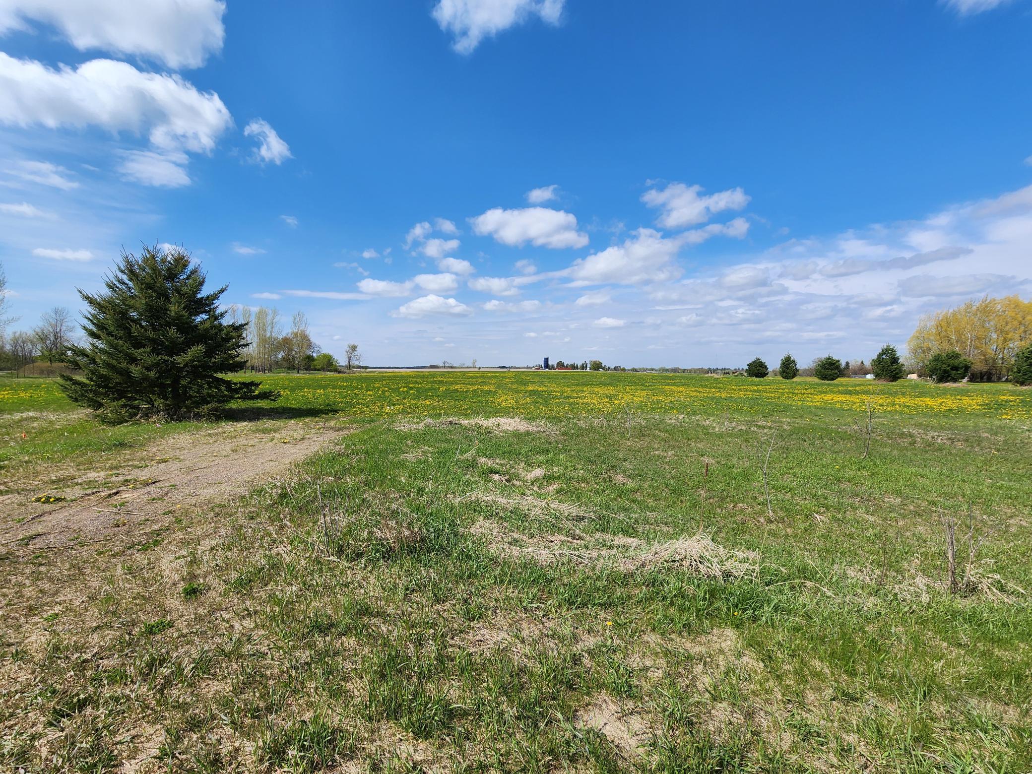 View of Land at 7160 149th Street, Milaca MN 56353, Milaca (5 of 24) - Mike Wilen | Minnesota Team Real Estate