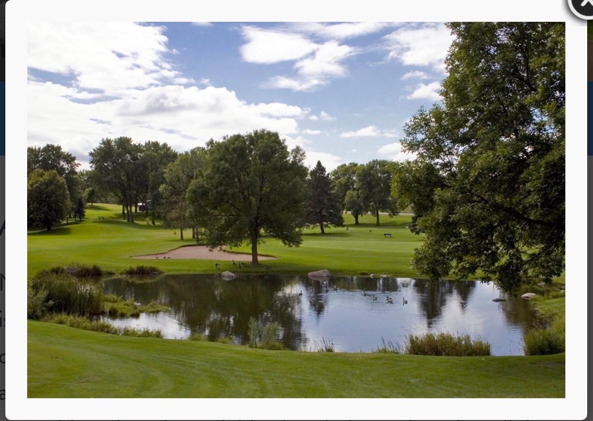 View of Residential at 329 Cimarron, Lake Elmo MN 55042, Lake Elmo (5 of 38) - Mike Wilen | Minnesota Team Real Estate