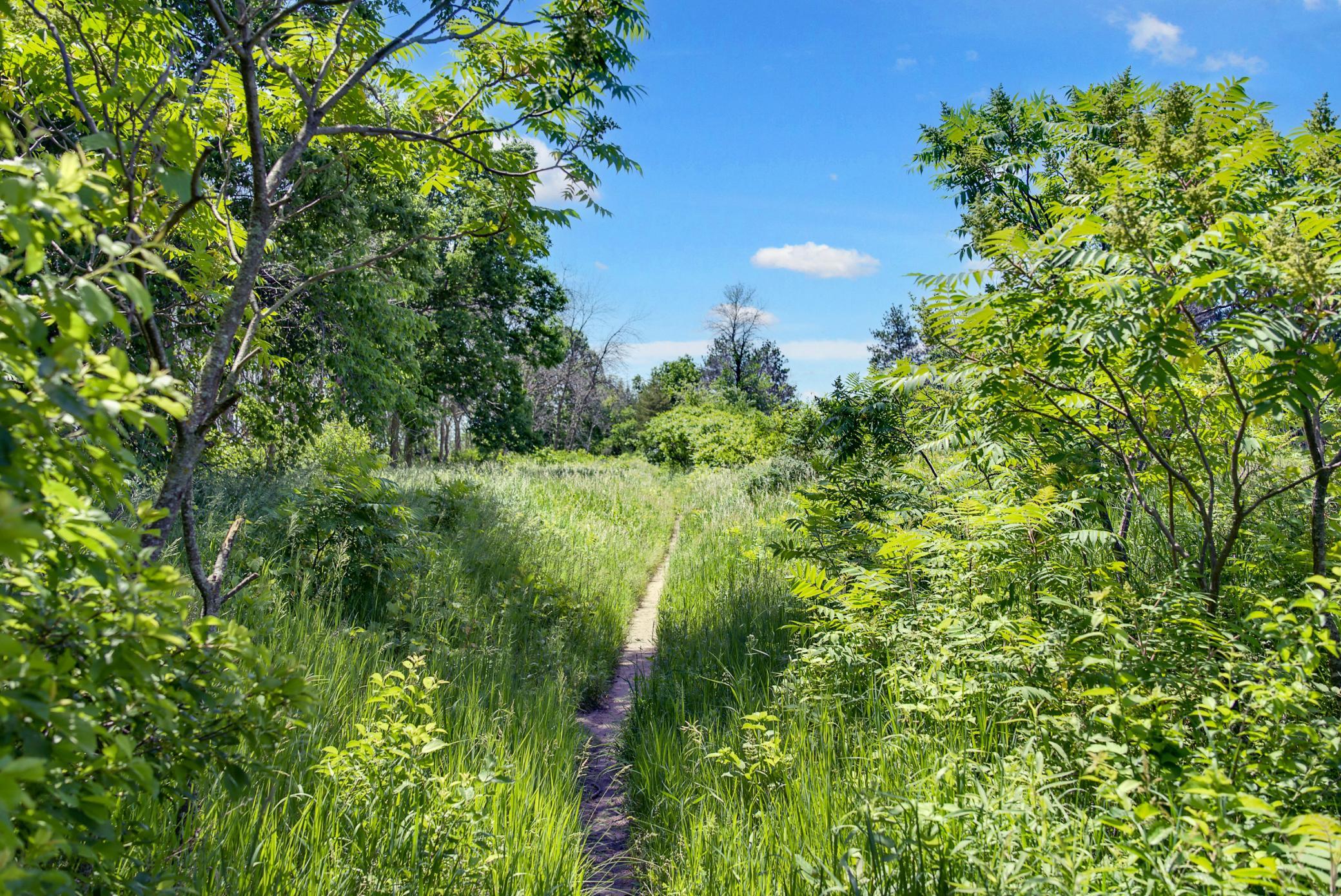View of Residential at 10545 Glenbrook Avenue, Cottage Grove MN 55016, Cottage Grove (38 of 49) - Mike Wilen | Minnesota Team Real Estate
