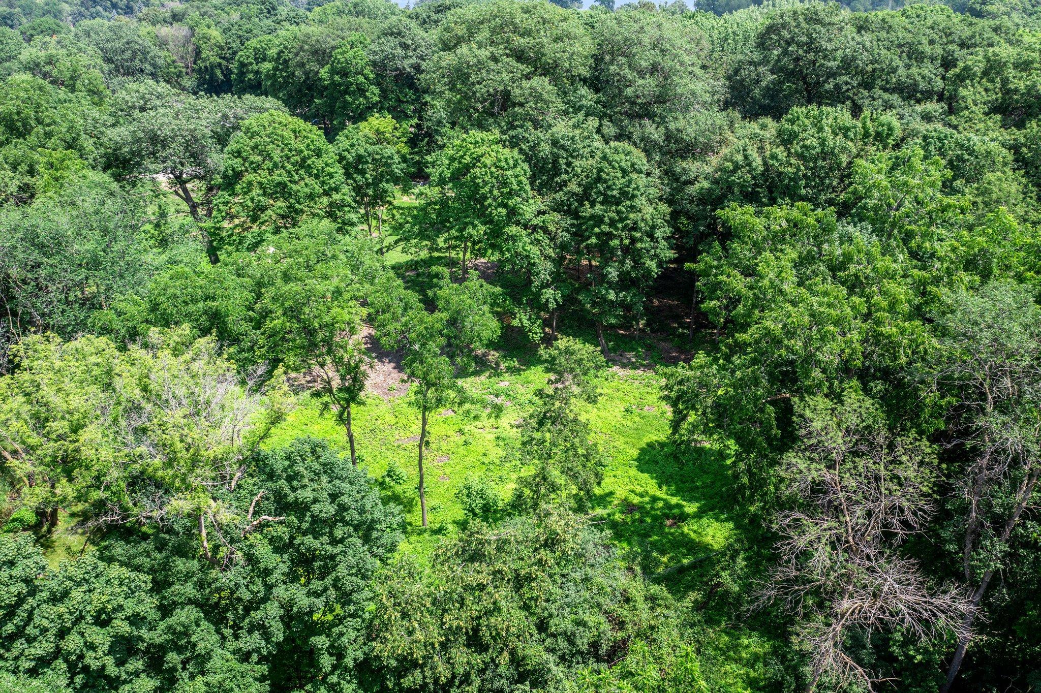 View of Land at 24695 Glen Road, Excelsior MN 55331, Excelsior (5 of 14) - Mike Wilen | Minnesota Team Real Estate