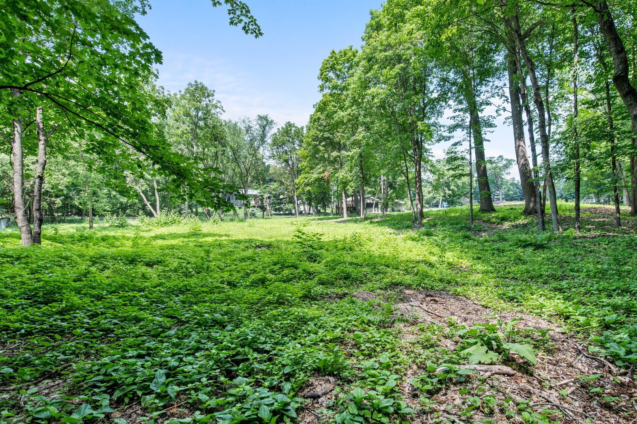 View of Land at 24695 Glen Road, Excelsior MN 55331, Excelsior (12 of 14) - Mike Wilen | Minnesota Team Real Estate