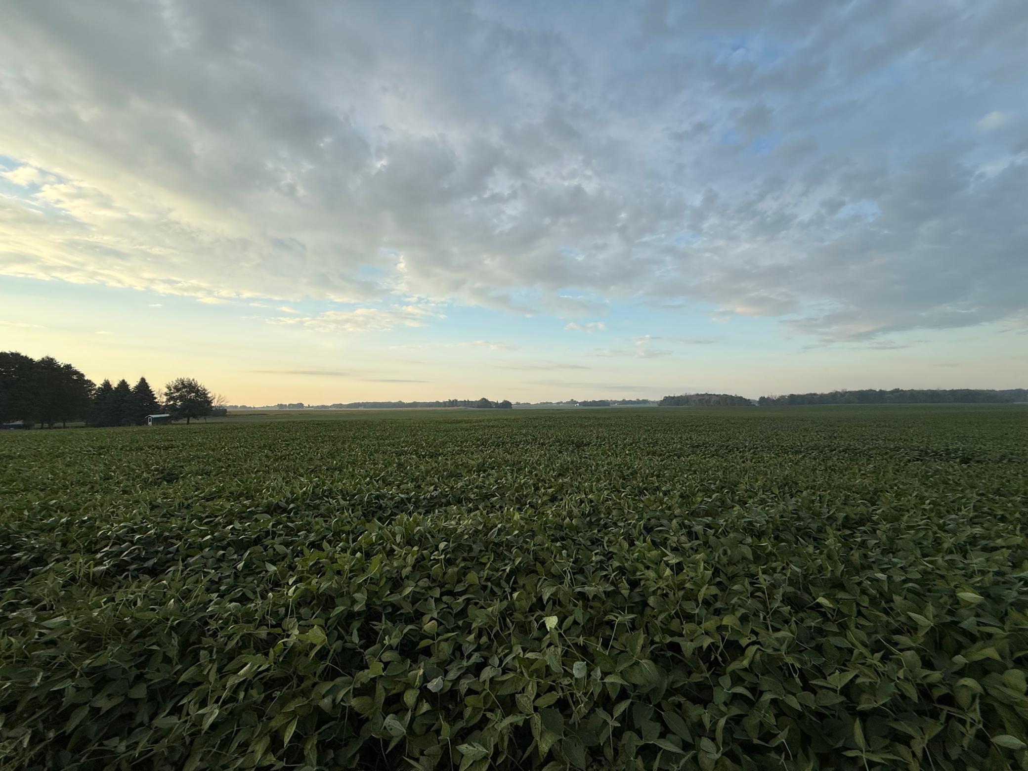 View of Land at TBD 265th Avenue, Belle Plaine MN 56011, Belle Plaine - Mike Wilen | Minnesota Team Real Estate