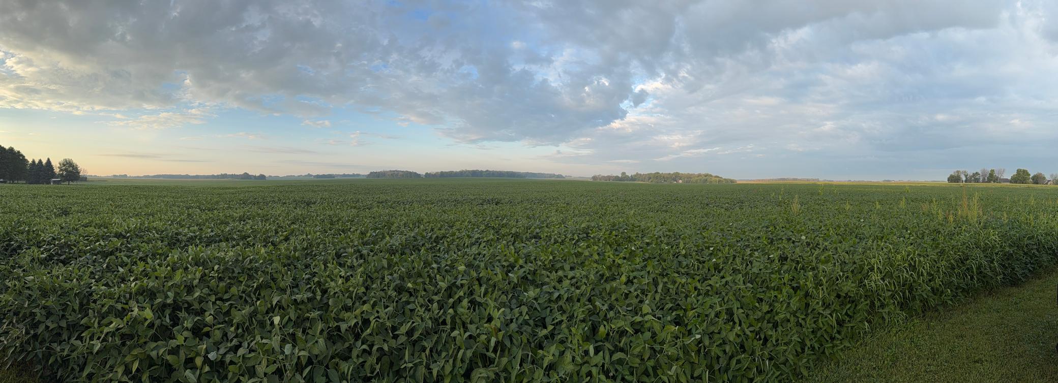 View of Land at TBD 265th Avenue, Belle Plaine MN 56011, Belle Plaine (4 of 11) - Mike Wilen | Minnesota Team Real Estate