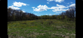 View of Land at 140th Av 140th Avenue, Foreston - Mike Wilen | Minnesota Team Real Estate