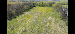View of Land at 140th Av 140th Avenue, Foreston MN 56330, Foreston (2 of 2) - Mike Wilen | Minnesota Team Real Estate