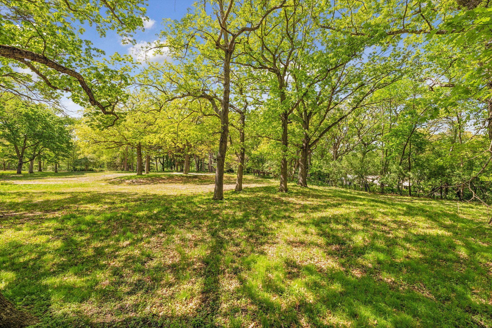 View of Land at 5125 Schaefer Road, Edina MN 55436, Edina (6 of 8) - Mike Wilen | Minnesota Team Real Estate