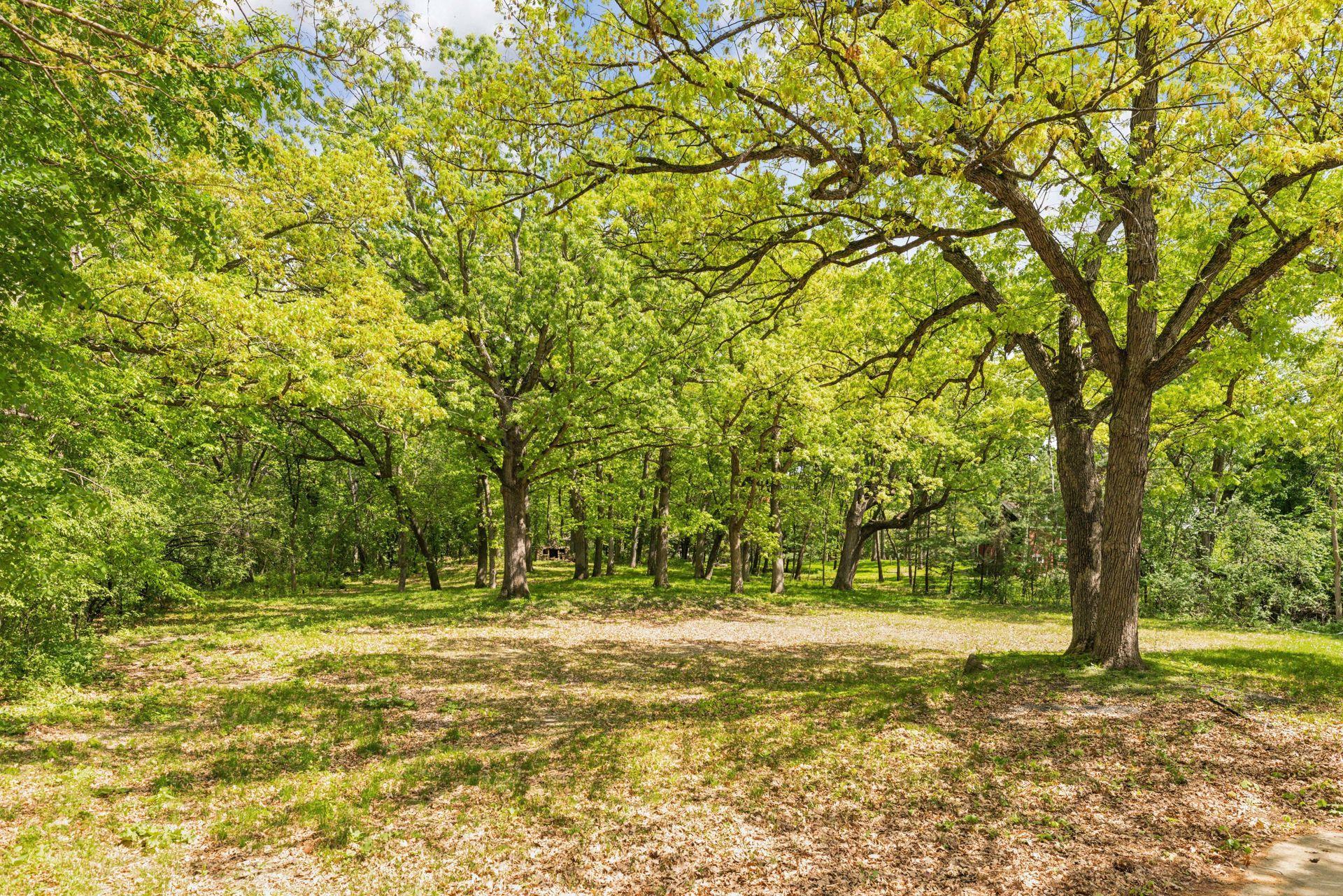 View of Land at 5125 Schaefer Road, Edina MN 55436, Edina (3 of 8) - Mike Wilen | Minnesota Team Real Estate