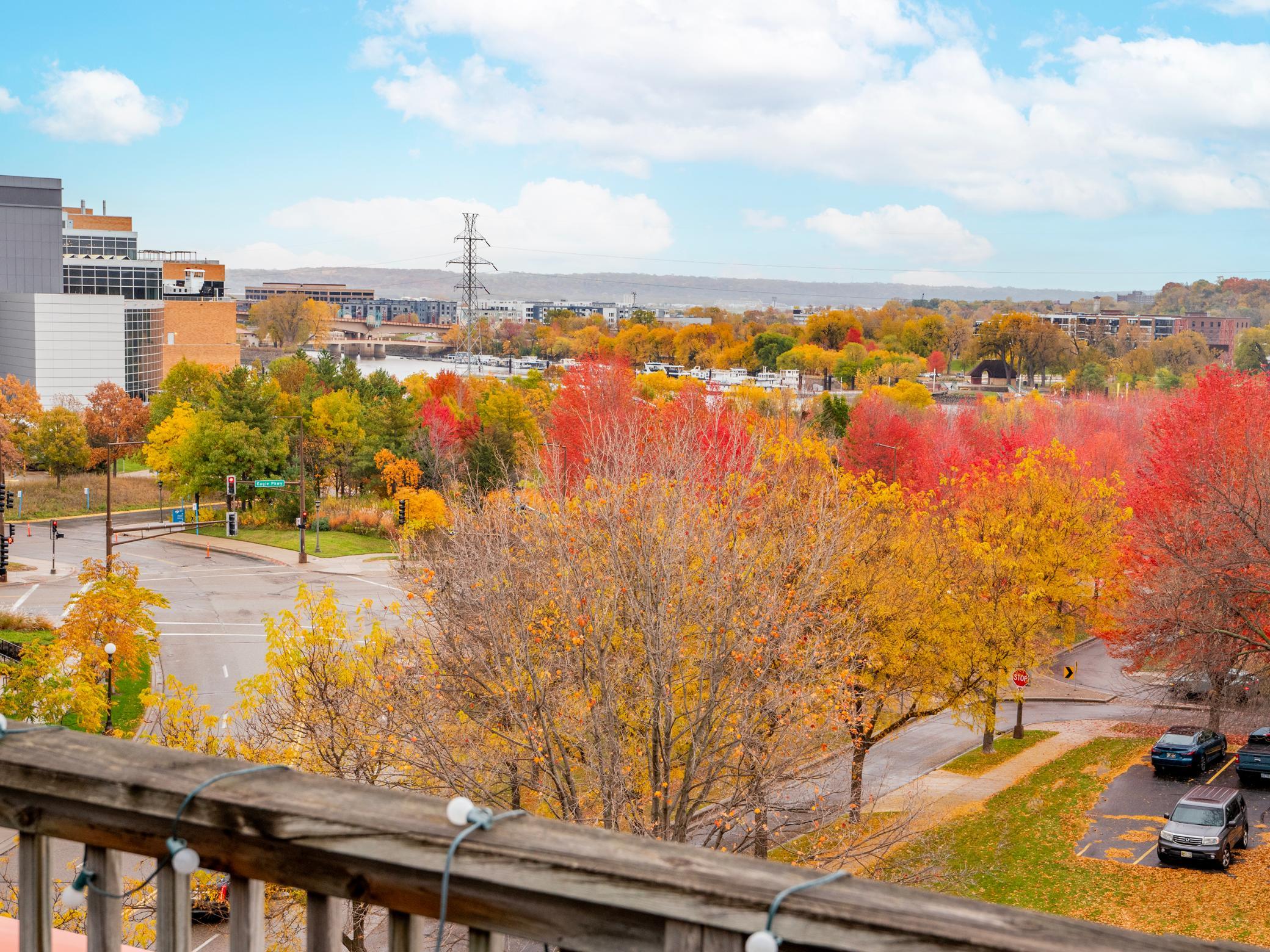 View of Residential at 230 Exchange Street #M, Saint Paul MN 55102, Saint Paul (19 of 56) - Mike Wilen | Minnesota Team Real Estate