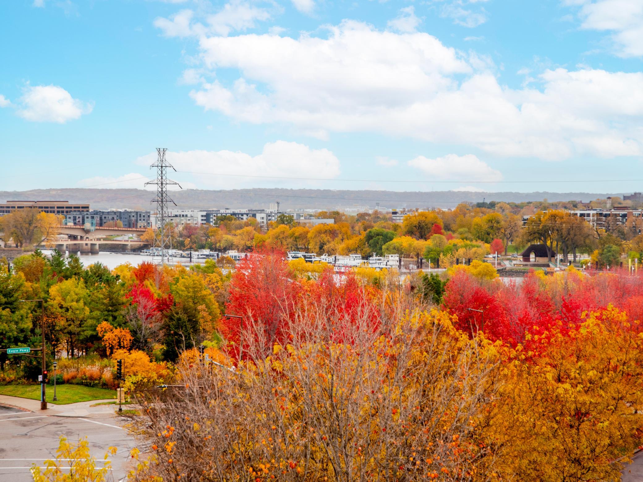 View of Residential at 230 Exchange Street #M, Saint Paul MN 55102, Saint Paul (20 of 56) - Mike Wilen | Minnesota Team Real Estate