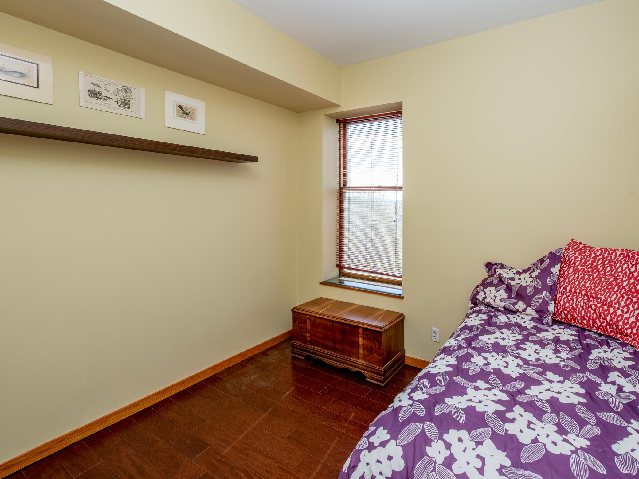 View of Residential at 230 Exchange Street #M, Saint Paul MN 55102, Saint Paul (32 of 56) - Mike Wilen | Minnesota Team Real Estate