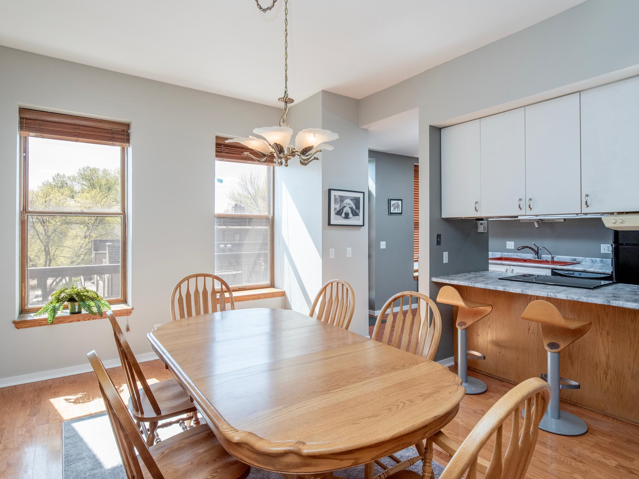 View of Residential at 230 Exchange Street #M, Saint Paul MN 55102, Saint Paul (12 of 56) - Mike Wilen | Minnesota Team Real Estate