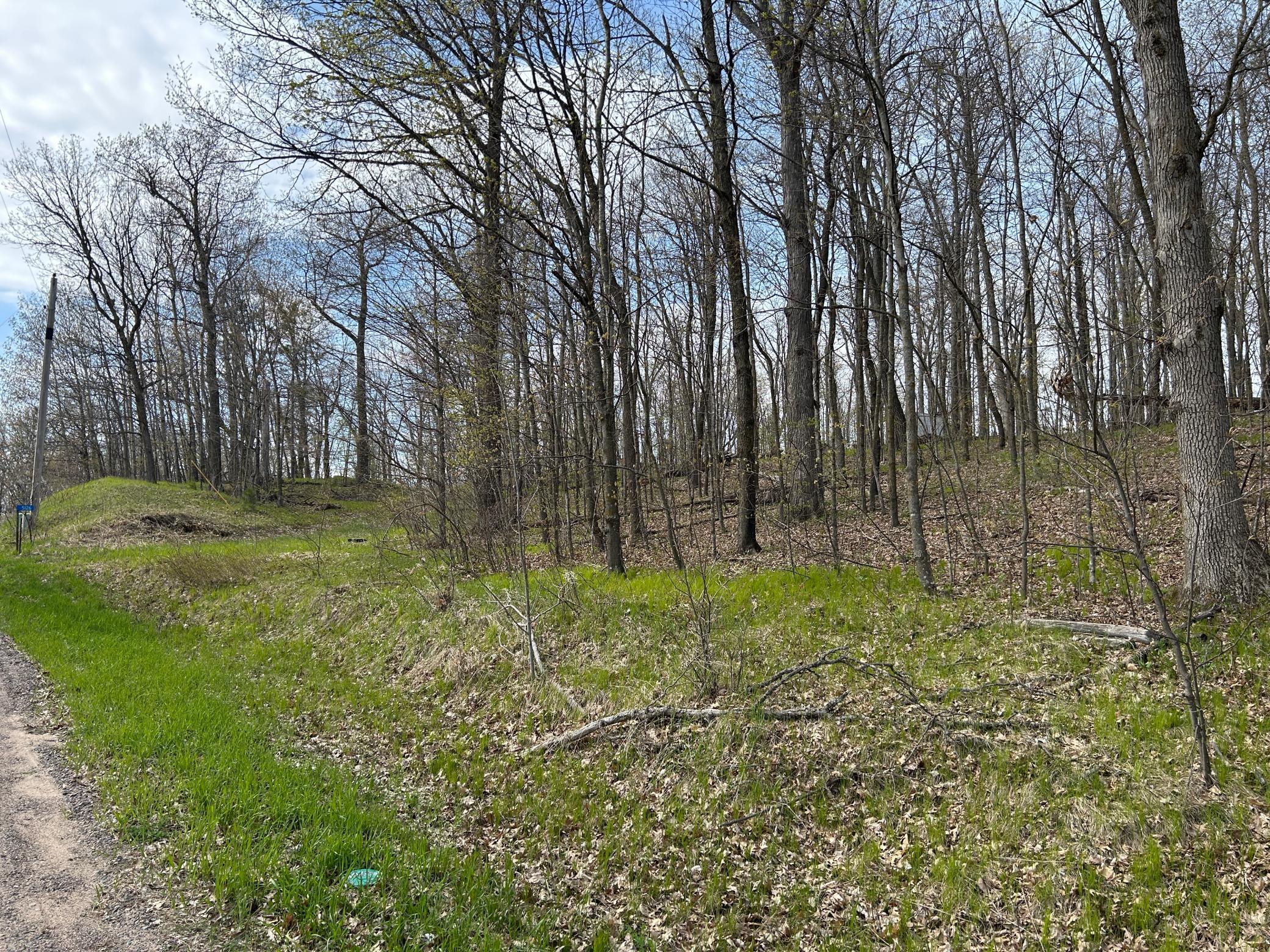 View of Land at 51XX Banyan Drive, Garrison MN 56450, Garrison (5 of 6) - Mike Wilen | Minnesota Team Real Estate