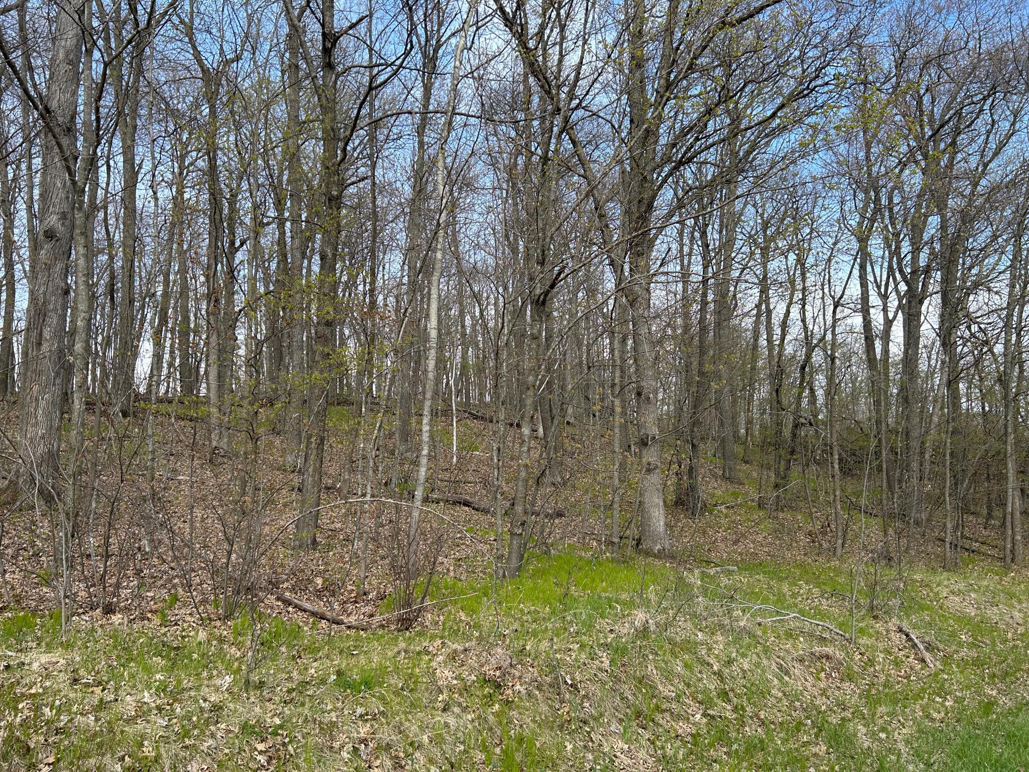 View of Land at 51XX Banyan Drive, Garrison MN 56450, Garrison (2 of 6) - Mike Wilen | Minnesota Team Real Estate