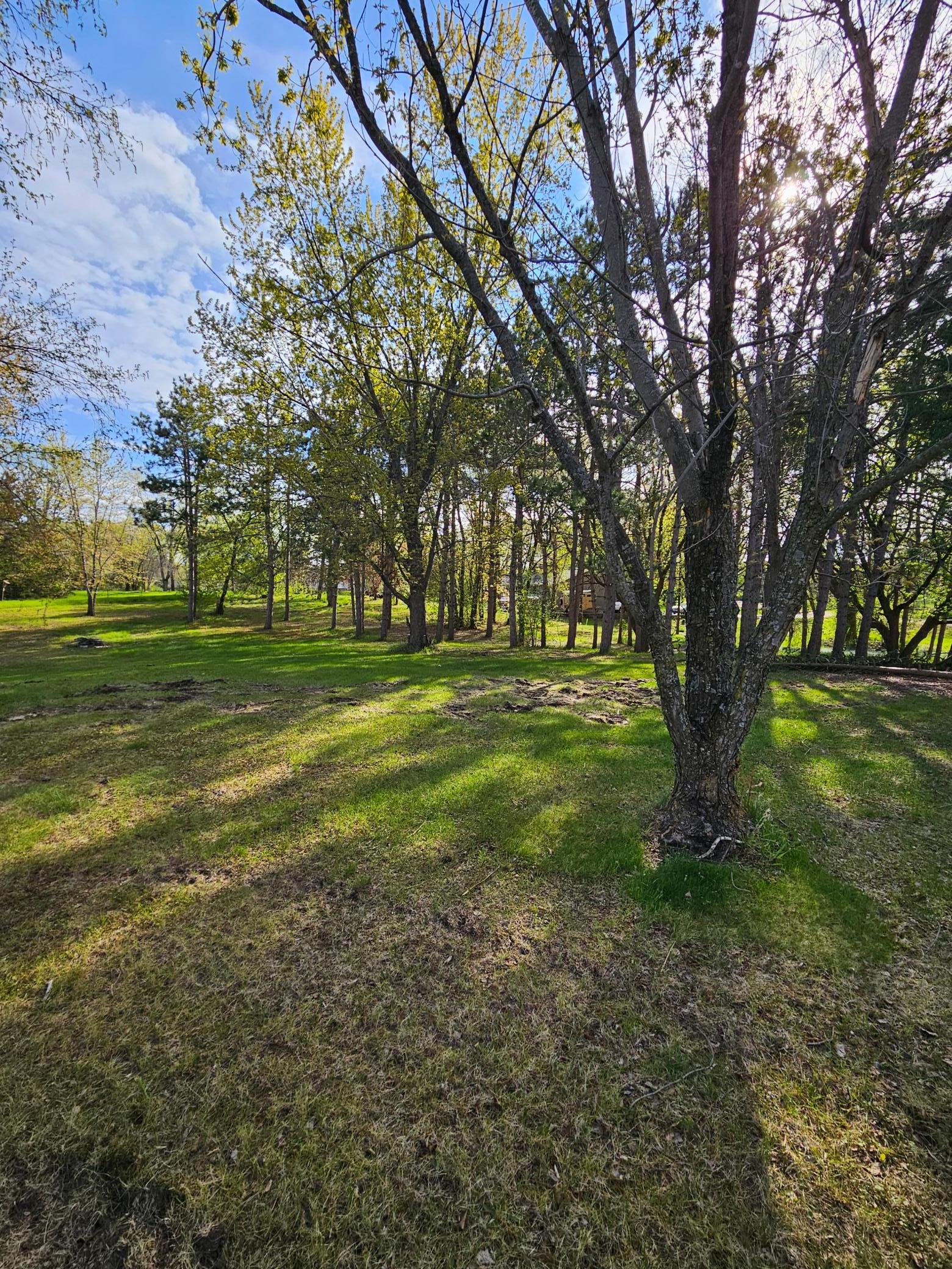 View of Land at 97XX Ireland Avenue, Annandale MN 55302, Annandale - Mike Wilen | Minnesota Team Real Estate