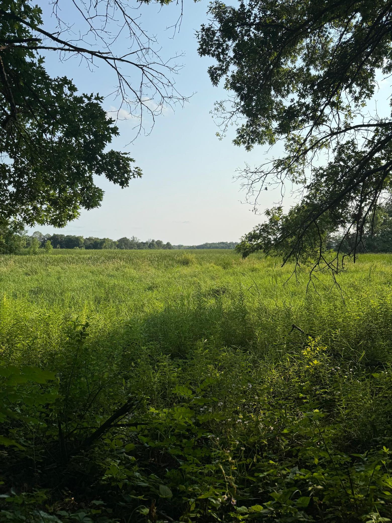 View of Land at 6167 Lake Drive, Prior Lake MN 55372, Prior Lake (4 of 20) - Mike Wilen | Minnesota Team Real Estate