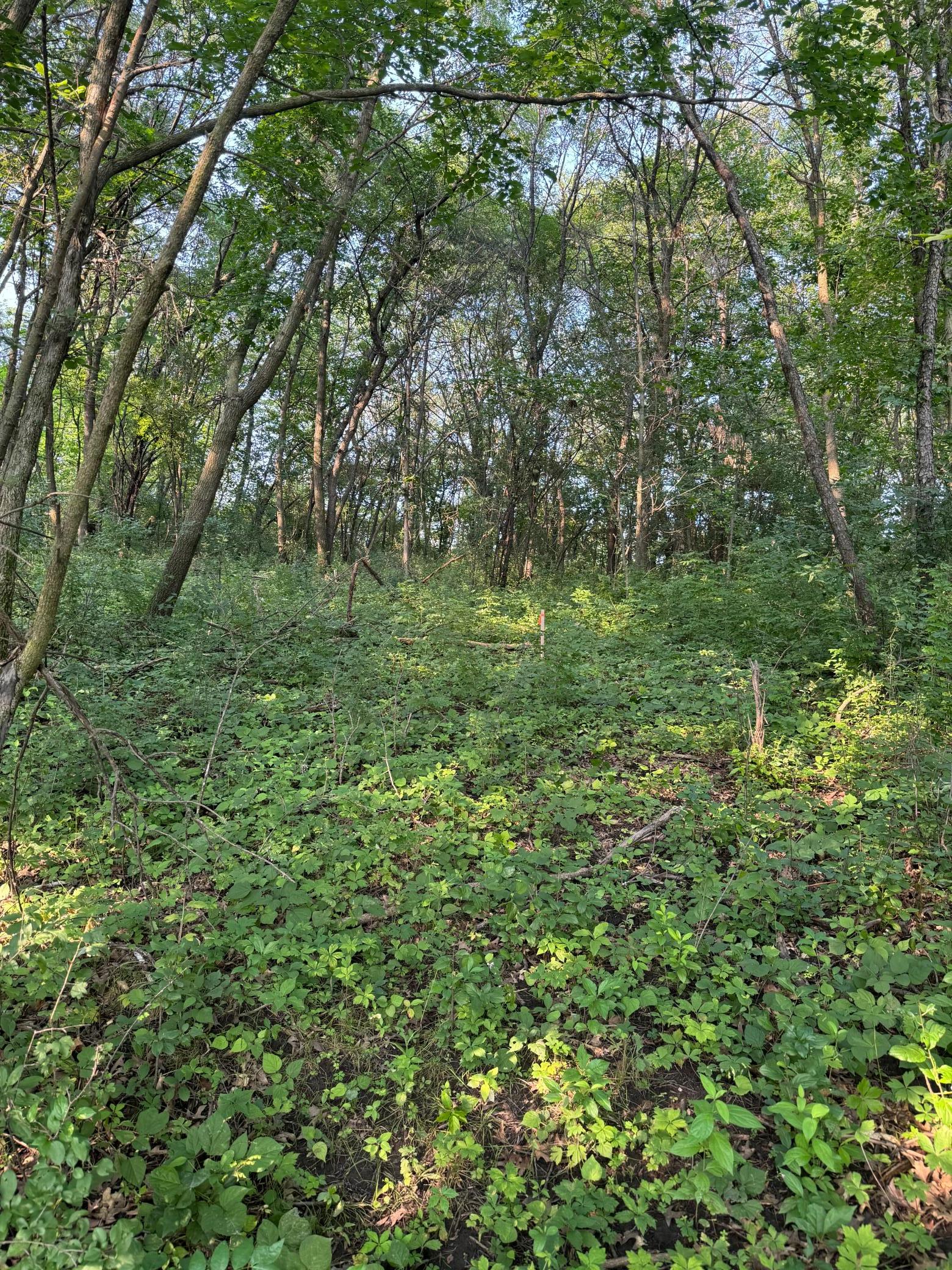 View of Land at 6167 Lake Drive, Prior Lake MN 55372, Prior Lake (15 of 20) - Mike Wilen | Minnesota Team Real Estate