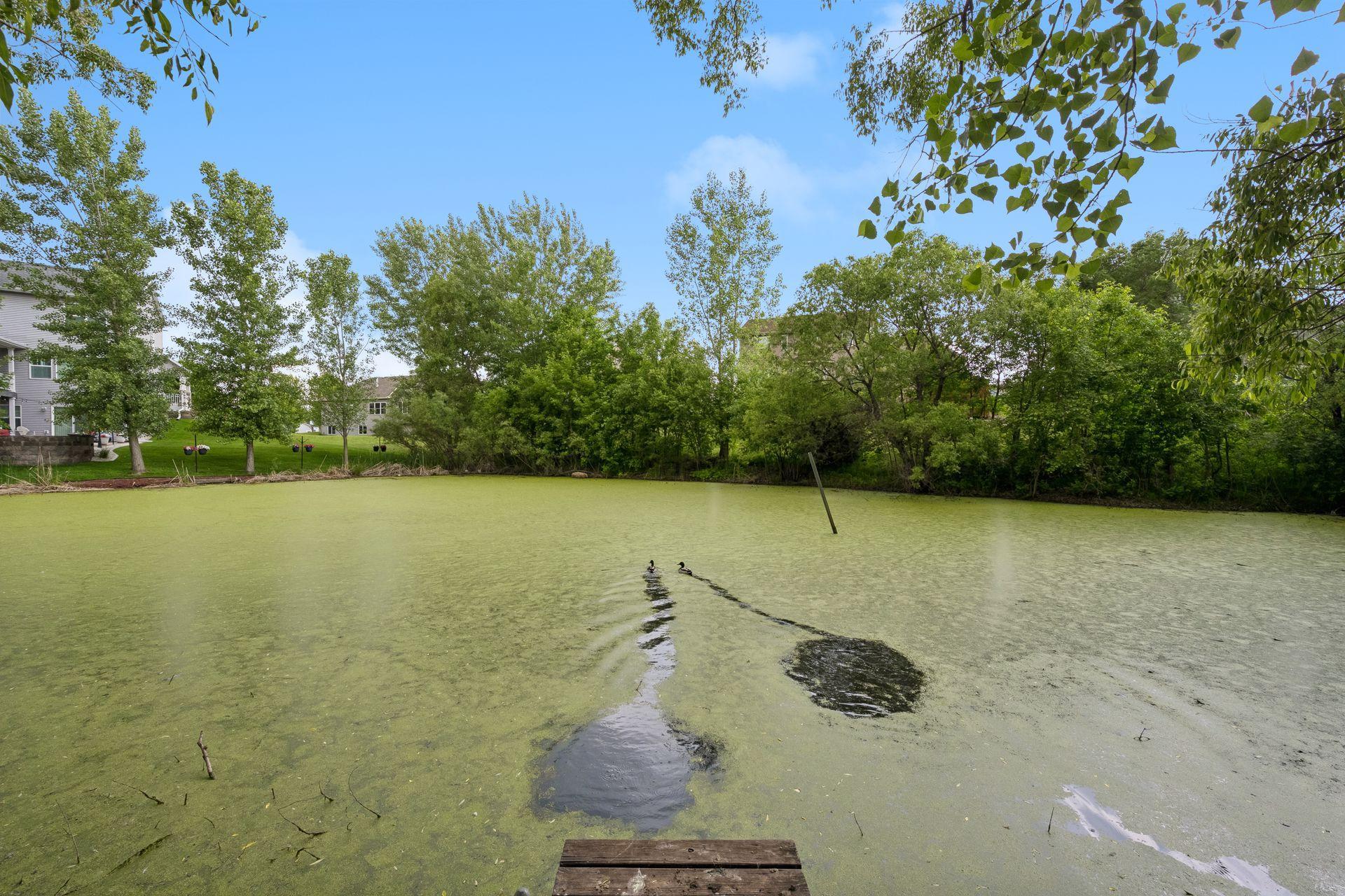 View of Residential at 8657 Elk Avenue, Monticello MN 55362, Monticello (54 of 57) - Mike Wilen | Minnesota Team Real Estate