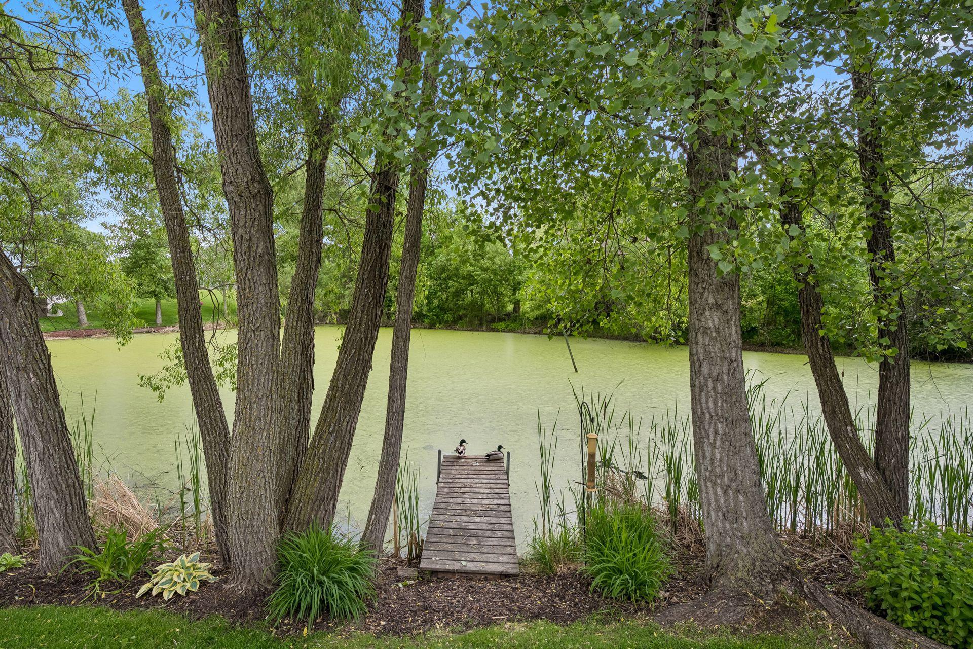 View of Residential at 8657 Elk Avenue, Monticello MN 55362, Monticello (53 of 57) - Mike Wilen | Minnesota Team Real Estate