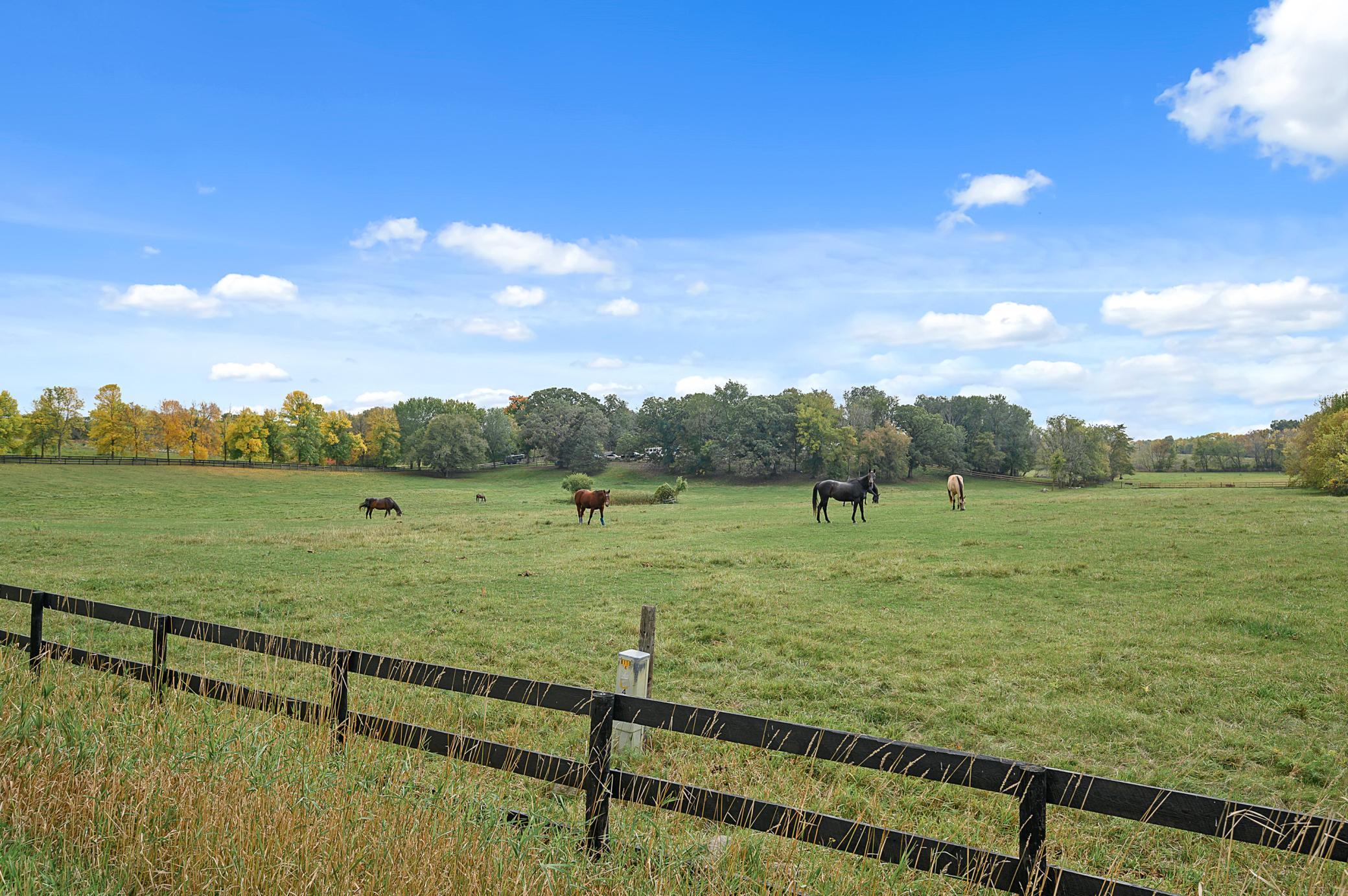 View of Land at TBD 200th Street, Prior Lake MN 55372, Prior Lake - Mike Wilen | Minnesota Team Real Estate
