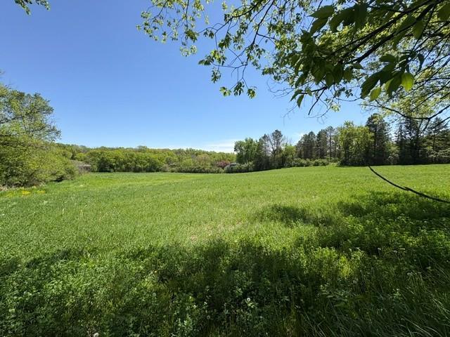 View of Land at TBD Highway 55, Rockford Twp MN 55313, Rockford Twp (11 of 12) - Mike Wilen | Minnesota Team Real Estate