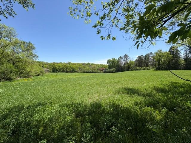 View of Land at TBD Highway 55, Rockford Twp MN 55313, Rockford Twp (10 of 12) - Mike Wilen | Minnesota Team Real Estate
