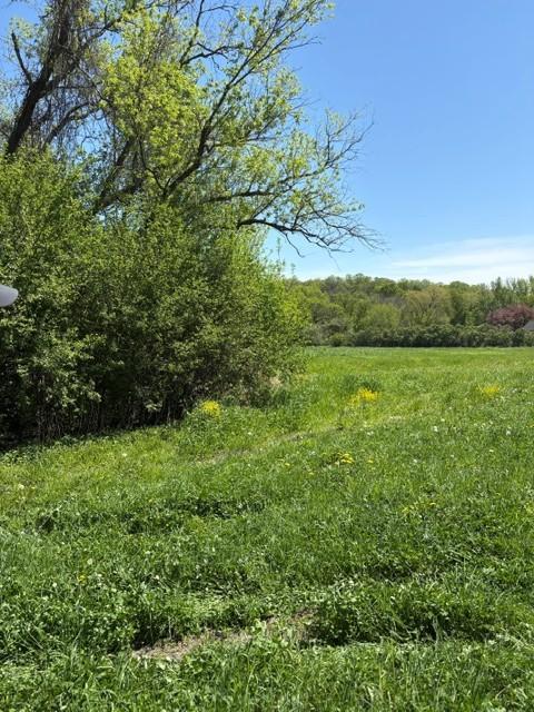 View of Land at TBD Highway 55, Rockford Twp MN 55313, Rockford Twp (8 of 12) - Mike Wilen | Minnesota Team Real Estate