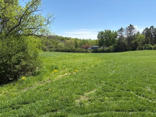 View of Land at TBD Highway 55, Rockford Twp MN 55313, Rockford Twp (2 of 12) - Mike Wilen | Minnesota Team Real Estate