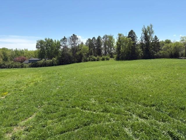 View of Land at TBD Highway 55, Rockford Twp MN 55313, Rockford Twp (6 of 12) - Mike Wilen | Minnesota Team Real Estate