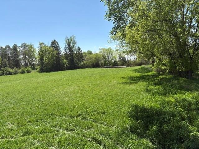 View of Land at TBD Highway 55, Rockford Twp MN 55313, Rockford Twp (5 of 12) - Mike Wilen | Minnesota Team Real Estate
